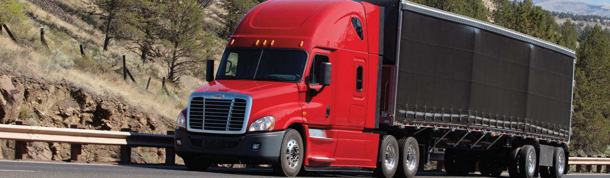 2017 Feightliner Cascadia Evolution for sale in Diehl's Truck World, Richmond Hill, New York